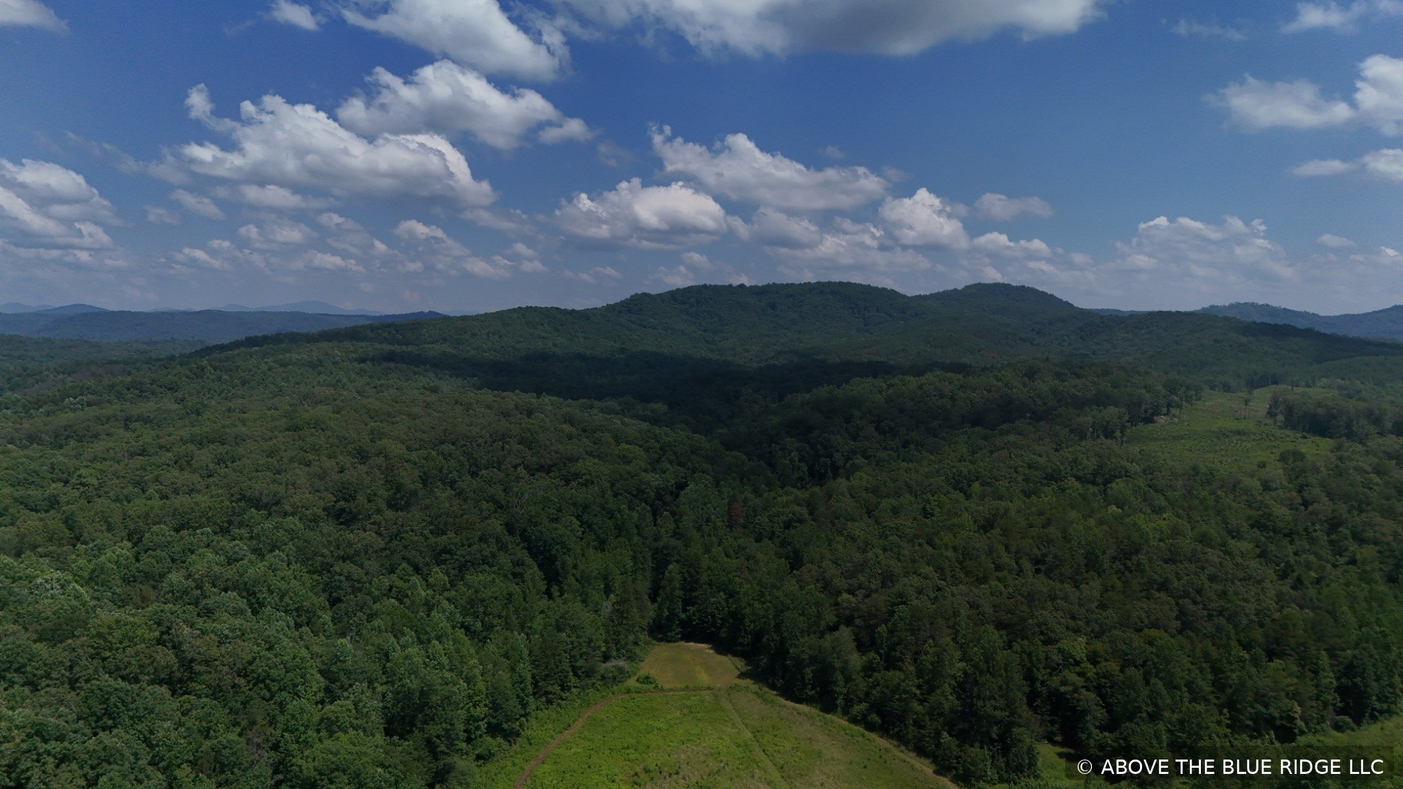 Forest and mountain aerial landscape